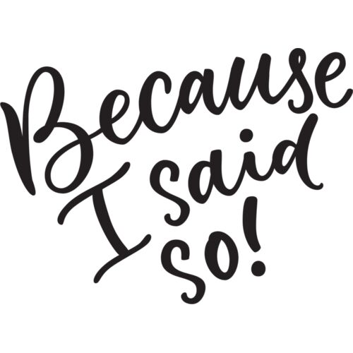 Because I Said So Thumbnail